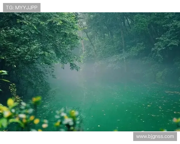 龙海姚明月下的诗意人生与梦想追寻之旅