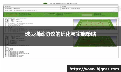 球员训练协议的优化与实施策略